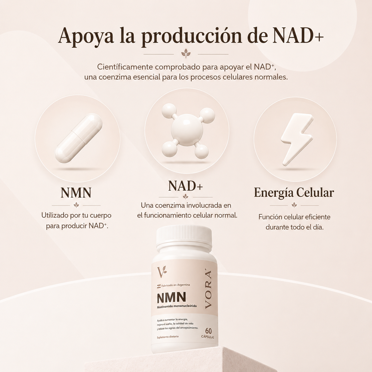VORA | Ciencia para tu Vitalidad